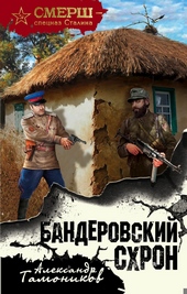 Обложка книги https://1000knig.com/1878-banderovskij-shron.html