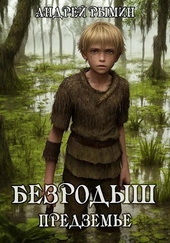 Обложка книги https://1000knig.com/1350-bezrodysh-predzeme.html