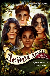 Обложка книги https://1000knig.com/882-dvenadcat-sekretov.html