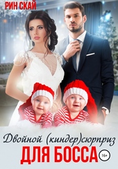 Обложка книги https://1000knig.com/883-dvojnoj-kindersjurpriz-dlja-bossa.html