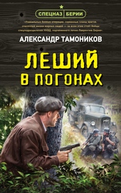 Обложка книги https://1000knig.com/1263-leshij-v-pogonah.html