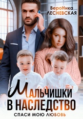 Обложка книги https://1000knig.com/1060-malchishki-v-nasledstvo-spasi-moju-ljubov.html