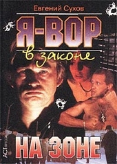 Обложка книги https://1000knig.com/986-na-zone.html