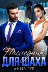 Обложка книги https://1000knig.com/267-naslednik-dlja-shaha.html