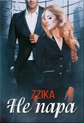 Обложка книги https://1000knig.com/1599-ne-para.html