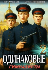 Обложка книги https://1000knig.com/65-odinakovye-tom-2-gimnazisty.html