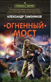 Обложка книги https://1000knig.com/708-ognennyj-most.html
