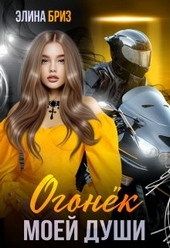 Обложка книги https://1000knig.com/994-ogonek-moej-dushi.html