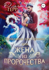 Обложка книги https://1000knig.com/456-popadanka-dlja-princa-ili-zhena-iz-prorochestva-chast-1.html