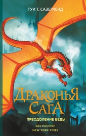 Обложка книги https://1000knig.com/921-preodolenie-bedy.html