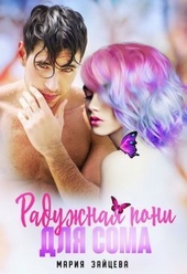 Обложка книги https://1000knig.com/1625-raduzhnaja-poni-dlja-soma-si.html