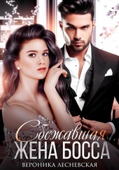 Обложка книги https://1000knig.com/30-sbezhavshaja-zhena-bossa-razvoda-ne-budet.html