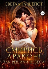 Обложка книги https://1000knig.com/531-smiris-drakon-tak-reshili-nebesa.html