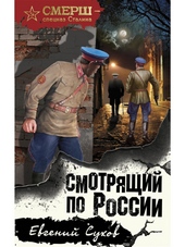 Обложка книги https://1000knig.com/1014-smotrjaschij-po-rossii.html