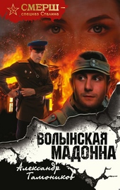 Обложка книги https://1000knig.com/732-volynskaja-madonna.html