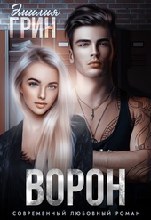 Обложка книги https://1000knig.com/796-voron.html