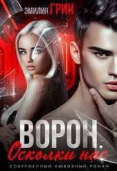Обложка книги https://1000knig.com/1023-voron-oskolki-nas-si.html
