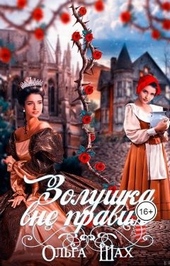 Обложка книги https://1000knig.com/940-zolushka-vne-pravil.html