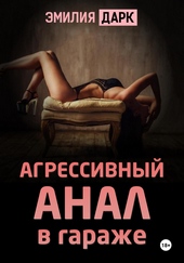 Обложка книги https://1000knig.com/2441-agressivnyj-anal-v-garazhe.html