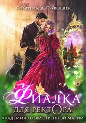 Обложка книги https://1000knig.com/2443-akademija-hozjajstvennoj-magii-fialka-dlja-rektora.html