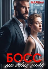 Обложка книги https://1000knig.com/2887-boss-na-odnu-noch.html