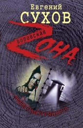 Обложка книги https://1000knig.com/3521-gnev-smotrjaschego.html