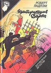 Обложка книги https://1000knig.com/2981-identifikacija-borna.html