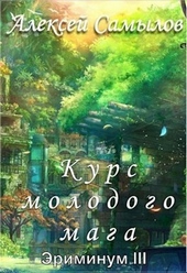 Обложка книги https://1000knig.com/3617-kurs-molodogo-maga.html