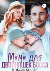 Обложка книги https://1000knig.com/3062-mama-dlja-dvojnjashek-bossa.html