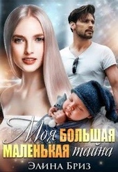 Обложка книги https://1000knig.com/3673-moja-bolshaja-malenkaja-tajna.html
