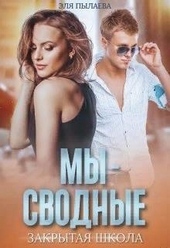 Обложка книги https://1000knig.com/3680-my-svodnye.html