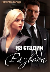 Обложка книги https://1000knig.com/2273-na-stadii-razvoda.html