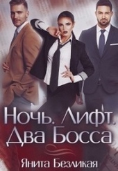 Обложка книги https://1000knig.com/3133-noch-lift-dva-bossa-si.html