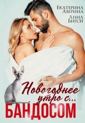 Обложка книги https://1000knig.com/2661-novogodnee-utro-s-bandosom.html