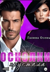 Обложка книги https://1000knig.com/3772-oskolki-hrustalja.html