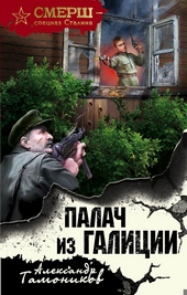 Обложка книги https://1000knig.com/2030-palach-iz-galicii.html