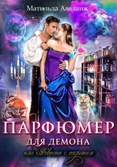 Обложка книги https://1000knig.com/2690-parfjumer-dlja-demona-ili-nevesta-s-sekretom.html