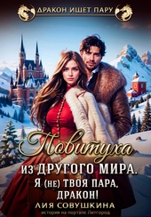 Обложка книги https://1000knig.com/2332-povituha-iz-drugogo-mira-ja-ne-tvoja-para-drakon.html