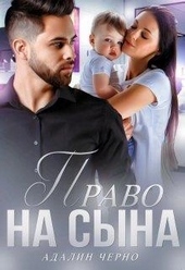 Обложка книги https://1000knig.com/3824-pravo-na-syna.html
