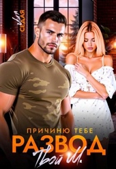Обложка книги https://1000knig.com/2336-prichinju-tebe-razvod-tvoj-m-si.html