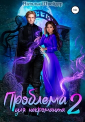 Обложка книги https://1000knig.com/2719-problema-dlja-nekromanta-2.html