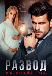 Обложка книги https://1000knig.com/3853-razvod-na-novyj-god.html