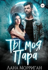 Обложка книги https://1000knig.com/3969-ty-moja-para.html