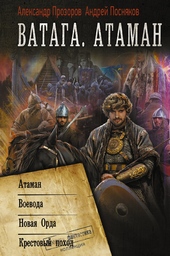 Обложка книги https://1000knig.com/3992-vataga-ataman.html
