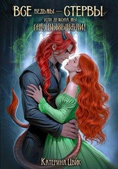 Обложка книги https://1000knig.com/2830-vse-vedmy-stervy-ili-demona-my-ne-vyzyvali.html
