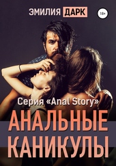 Обложка книги https://1000knig.com/5129-analnye-kanikuly.html