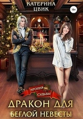 Обложка книги https://1000knig.com/4203-drakon-dlja-begloj-nevesty.html