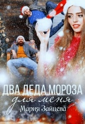 Обложка книги https://1000knig.com/5313-dva-deda-moroza-dlja-menja.html