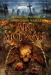Обложка книги https://1000knig.com/5321-dve-mogily.html