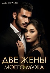 Обложка книги https://1000knig.com/5323-dve-zheny-moego-muzha.html